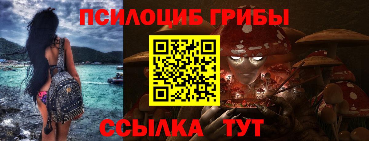 Псилоцибиновые грибы Psilocybine cubensis Ижевск