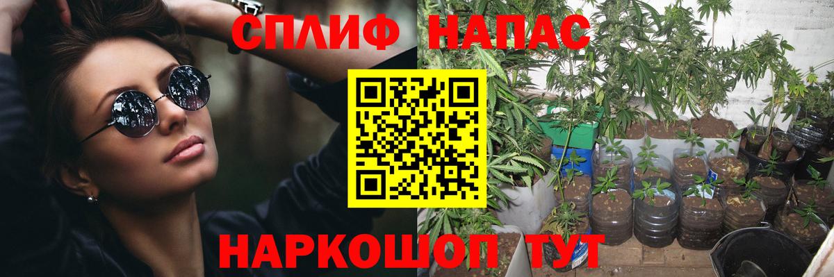 Марихуана марихуана  Вход с VPN  Марихуана гибрид  Ижевск  Канабис Bruce Banner 